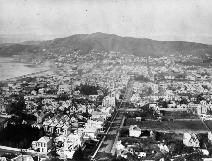 A black and white photo of Wellington City viewed from The Terrace overlooking Te Aro and across to Mt Victoria. 