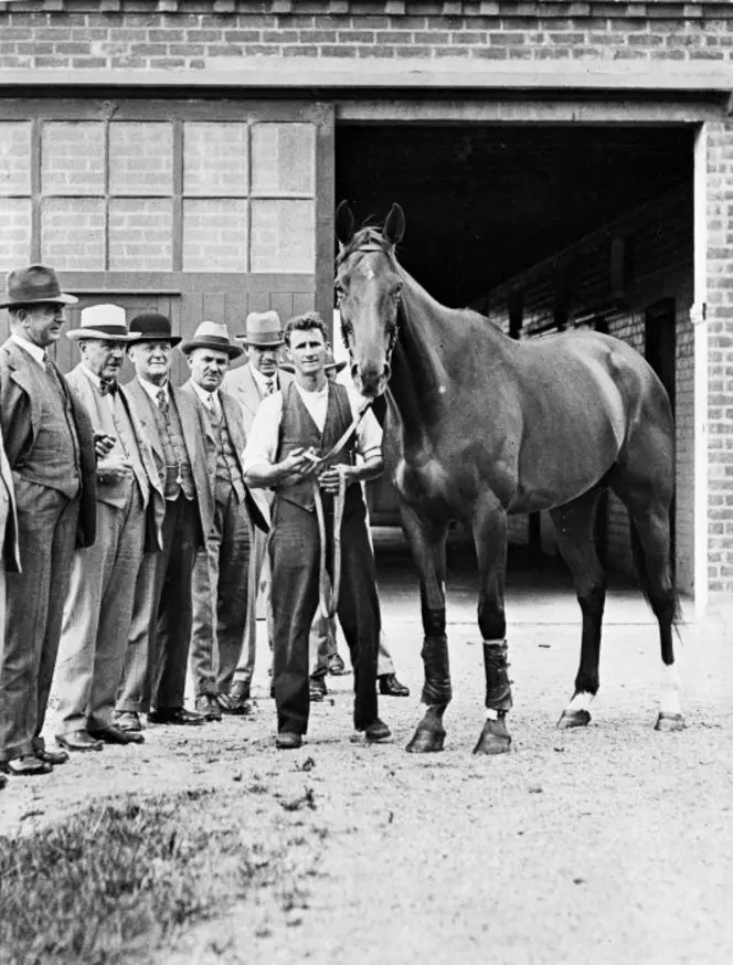 Racing horse Phar Lap at Trentham before his trip to the United States, with his attendant Tommy Woodcock.