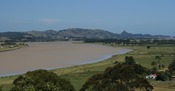 The Dargaville Pūtoi Rito Communities of Readers project began in early 2023 with three partner schools and the Dargaville Public Library.