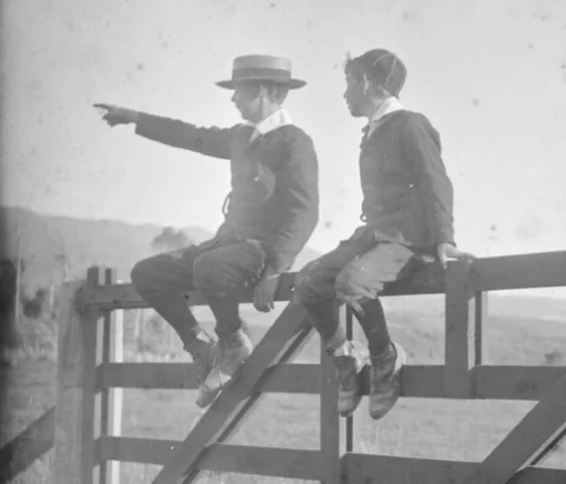 Two boys sitting atop a gate, one pointing at something off camera. 