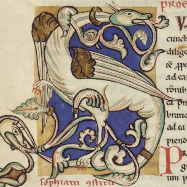 Manuscript with a decorative letter S in the form of a dragon or snake with wings.