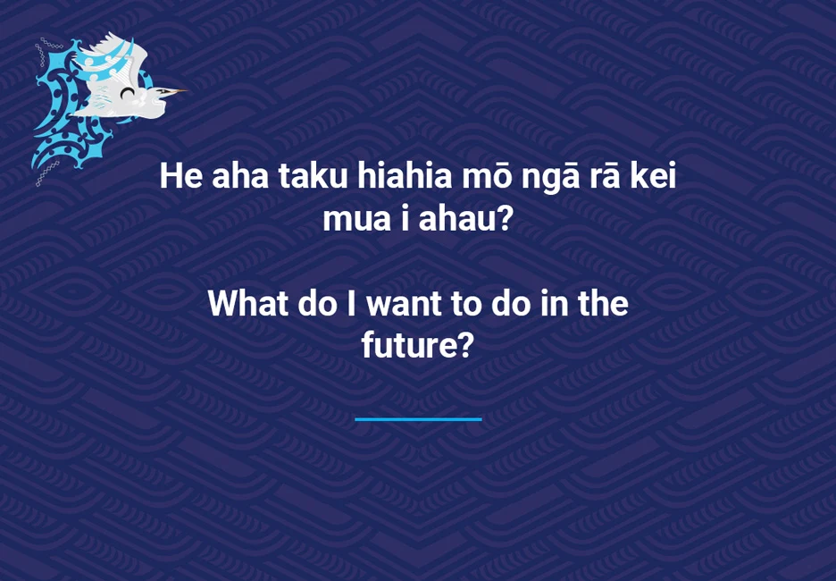 What do I want to do in the future?