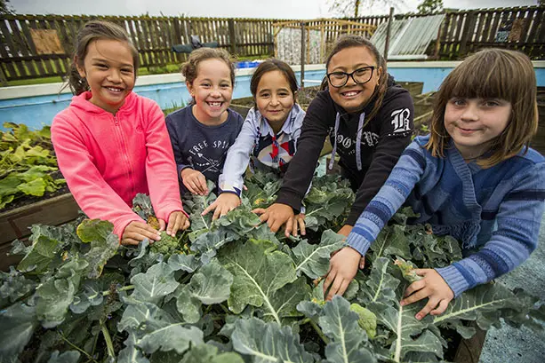 Colour photograph of 5 primary students at a māra (garden). It shows them holding their hands on the māra vegetables.