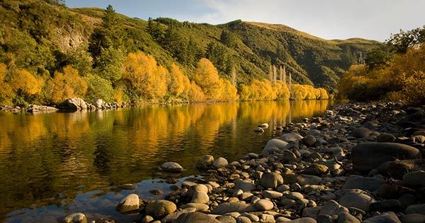 The Motueka River.