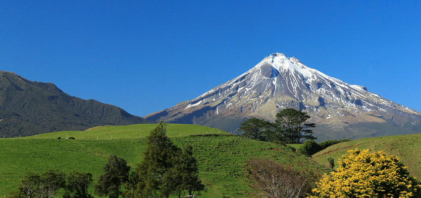 Mt Taranaki with pasture in foreground