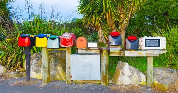 A line-up of different coloured mailboxes along a gravel road backing onto bush.