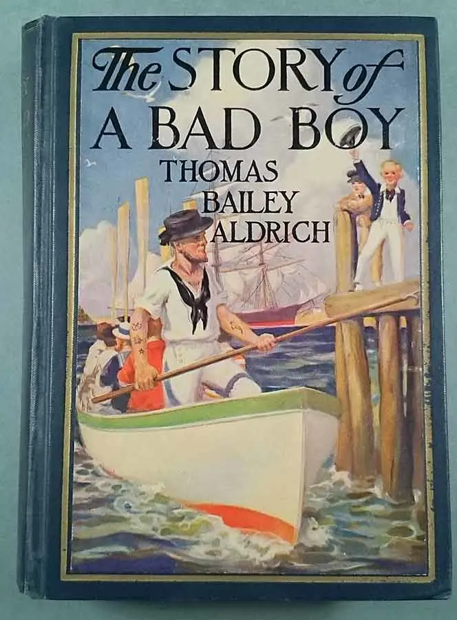 Story Of A Bad Boy Book Cover