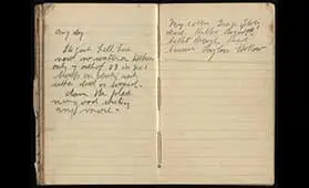 Open pages from Alfred Edward Cameron's diary.