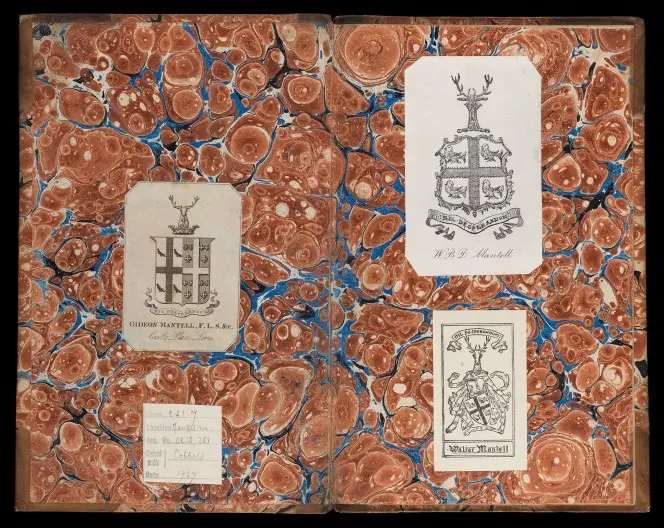 Decorated inner papers, including pasted-in collector plates.