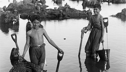 Digging for livelihoods | National Library of New Zealand - Vimarsana News