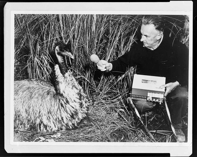 Black and white photo of a man and an emu.