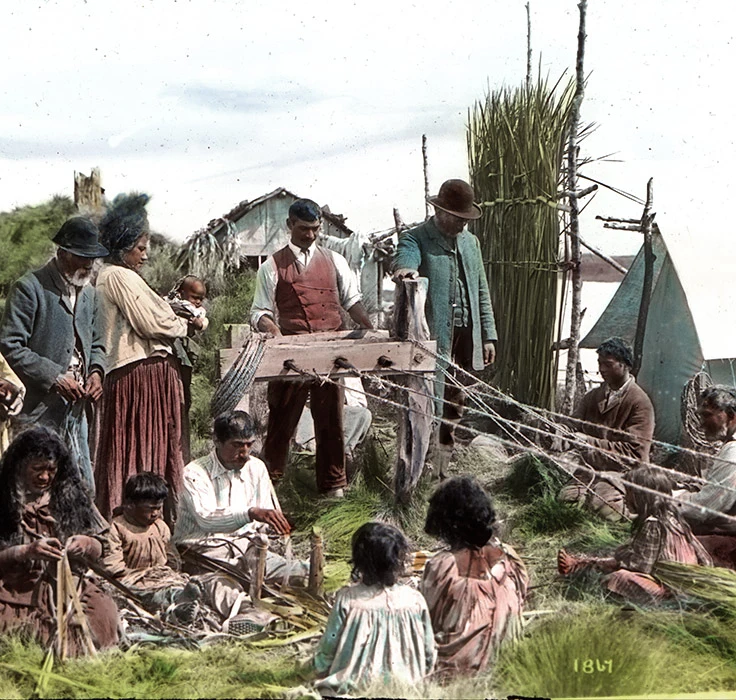 Colour photograph of Māori men, women and children making rope from flax. A man operates a rope machine.
