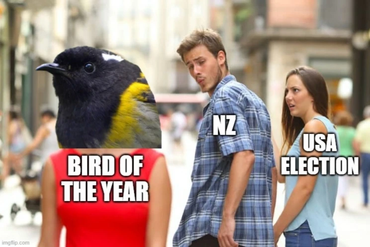 The distracted boyfriend meme template with "Bird of the year" being admired by "NZ" while "USA election" looks on incredulously.