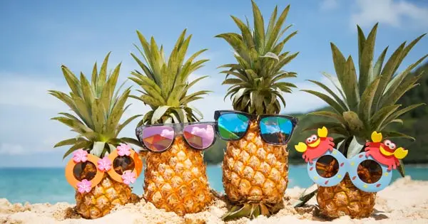 Four pineapples on a sandy beach with colourful sunglasses.