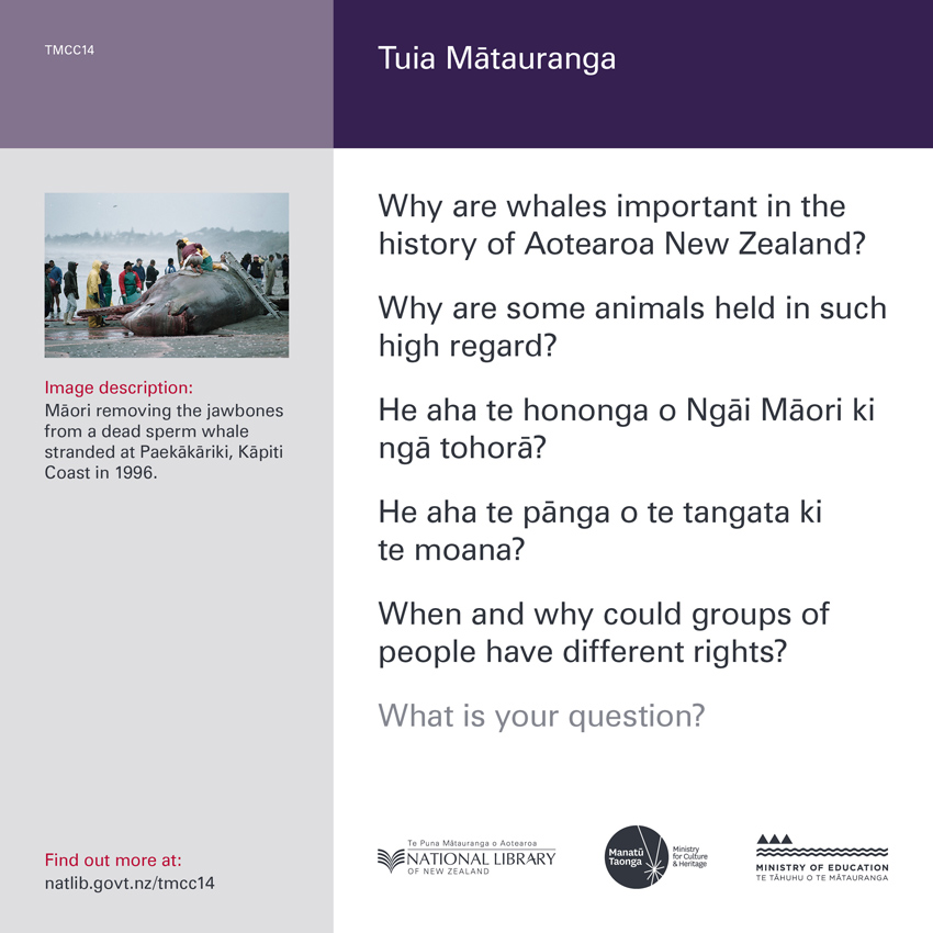Back of curiosity card TMCC14, with an image description, fertile questions, and a link with more information