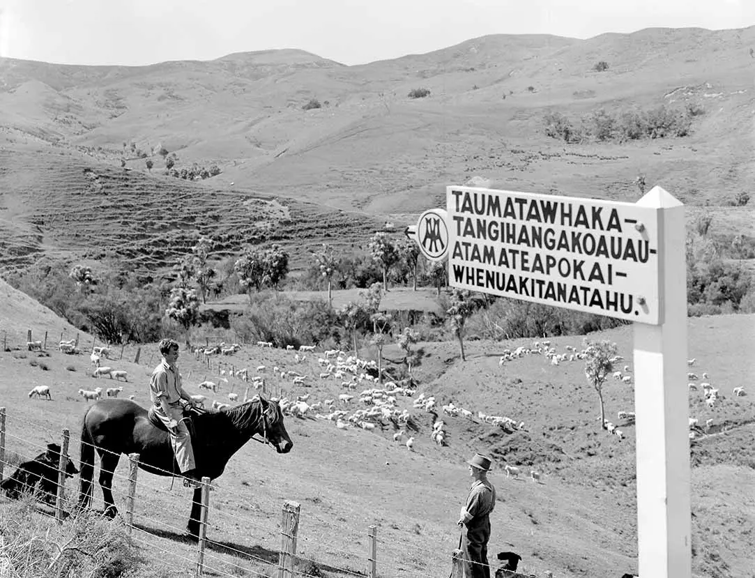 Black and white photo of 2 farmers, one on a horse, in a paddock with sheep behind a signpost with Aotearoa New Zealand's longest place name.