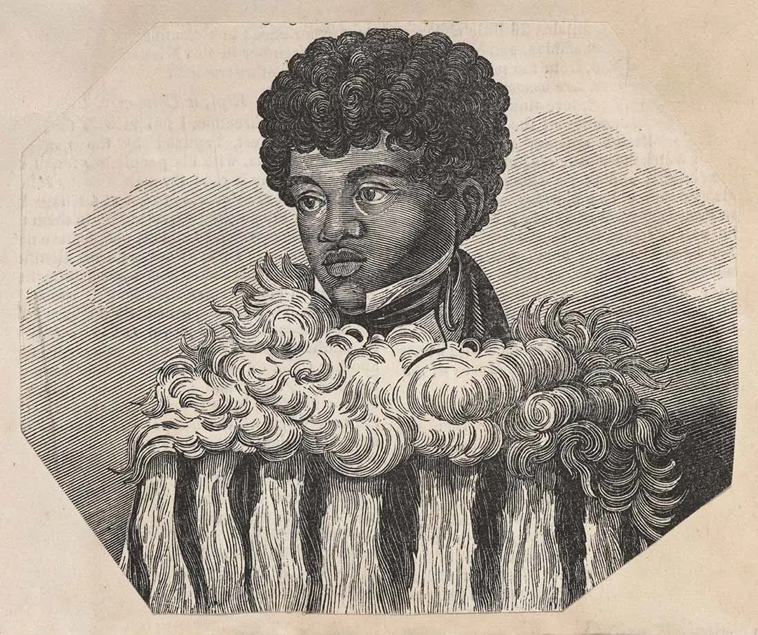 Portrait showing head and shoulders view of Edward Parry (Eruera Pare Hongi), in a dogskin cloak (kahu kurī) over European clothing.