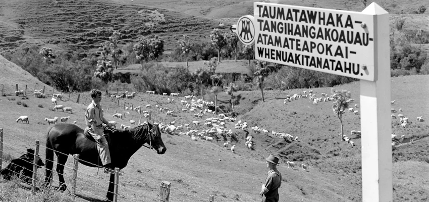 2 farmers, one on horse, in paddock with sheep behind signpost with NZ's longest place name