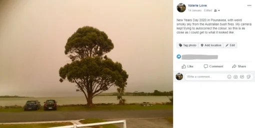 In image of a tree under a hazy sky taken from a page on Instagram.