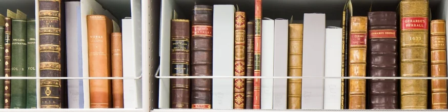 Leather-bound books on a bookshelf.
