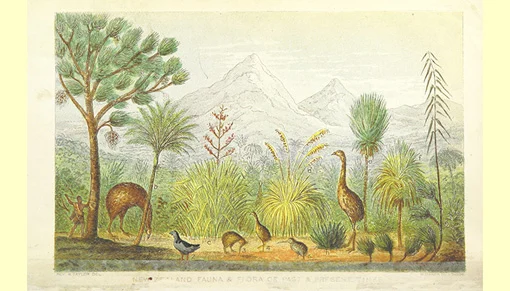 Drawing of an early NZ scene showing a Māori with a spear stalking birds in amongst NZ fauna with mountains in the backdrop.