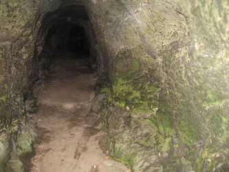 A tunnel. The moss on the tunnel walls reflects light, seeming to glow, and was called "goblin's gold" by the miners.