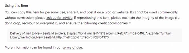 Screenshot of a record page, showing the terms of use and how to cite the item