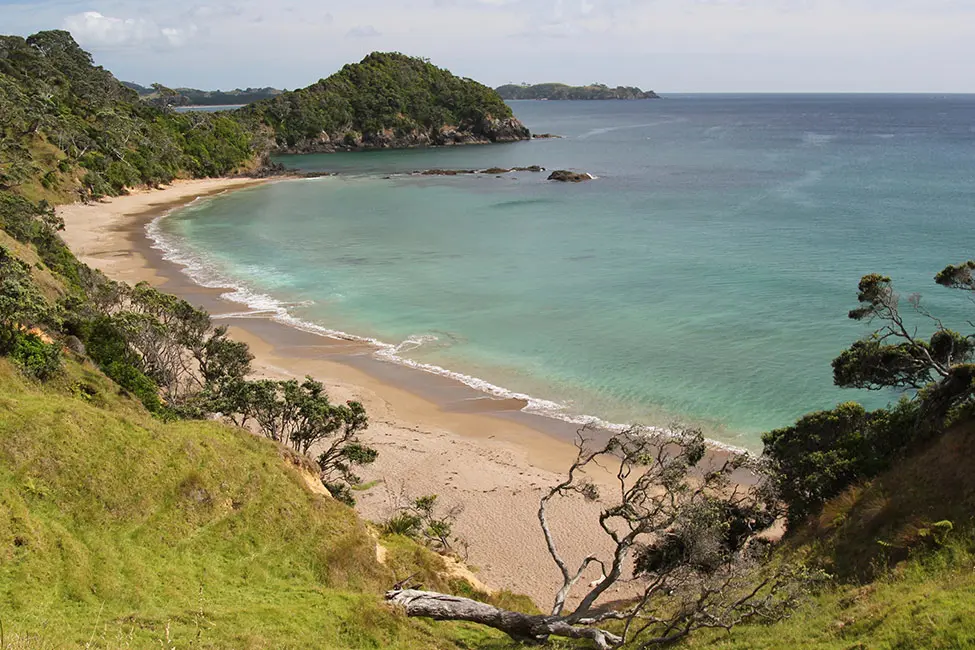 Aotearoa coast