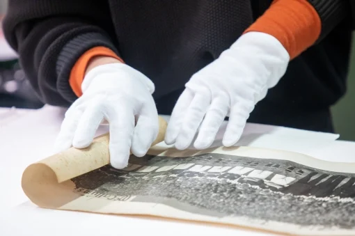 Person wearing white gloves unrolling a black and white print.