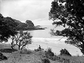 Coopers Beach, Northland, New Zealand
