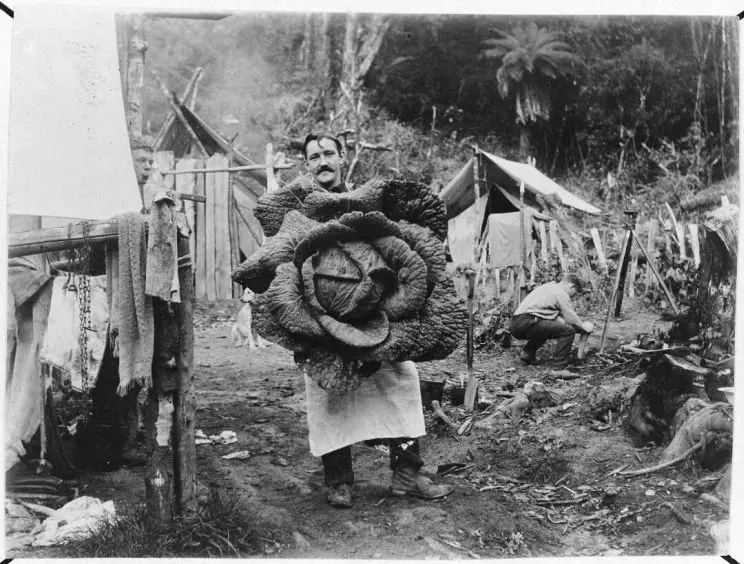 A black and white photo of a man holding a gigantic cabbage, appearing to be freshly harvested. 
