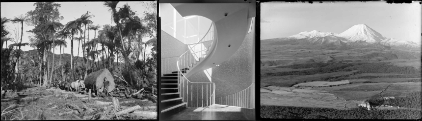 Triptych of photos relating to natural and urban environments.