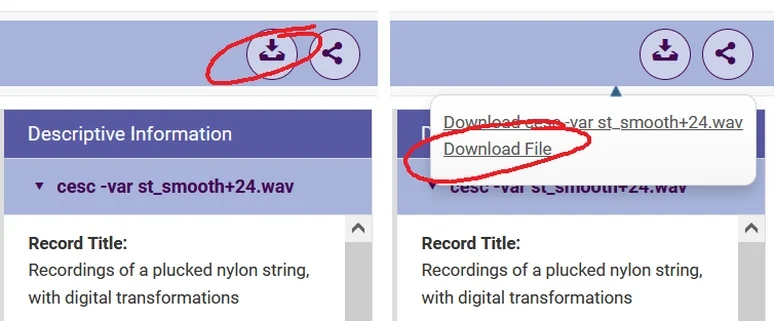 A screenshot of an archival viewing system showing the download file links circled in red for accessing the materials.