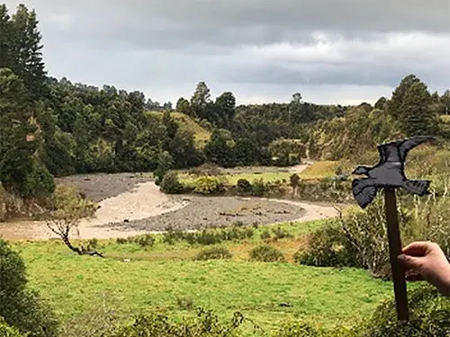 Colour photograph of a kuaka (bar-tailed godwit) cut out held in front of a river surrounded by bush.