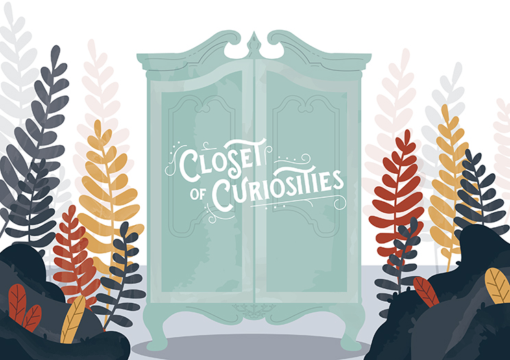 Drawing of a closet with words Closet of Curiosities.