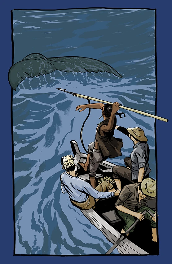 Colour illustration of NZ whaling. A whale in the water being hunted by whalers on a boat. A man holds a harpoon, ready to throw.