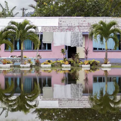 Pink house with palm trees in  front of it and water covering the area in front of the house. 