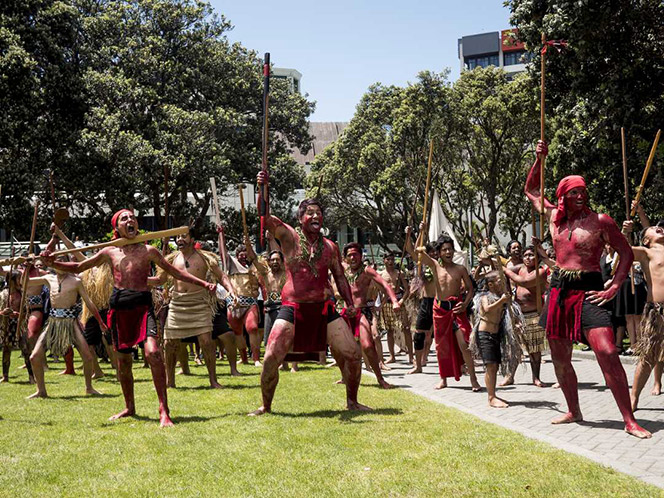 Haka at the Land War Petition at Parliament December 2015