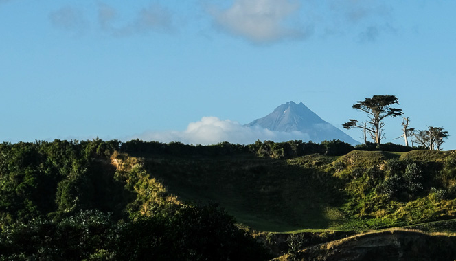 Rural photo with Mount Taranaki in the distance.