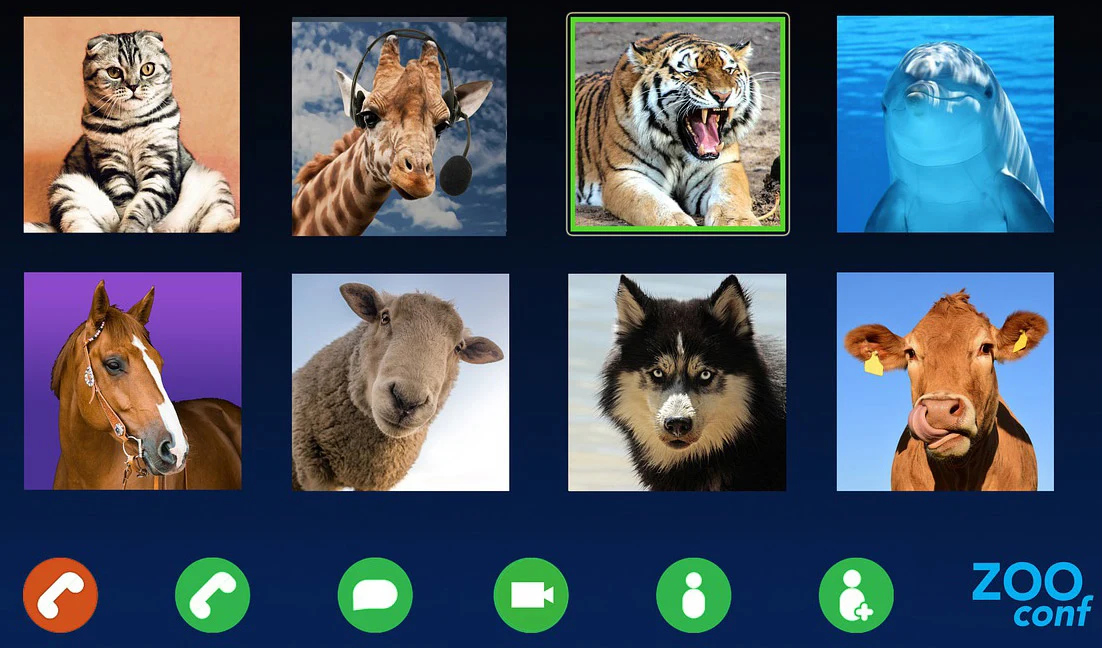 Screenshot of zoo animals on a video conference call.