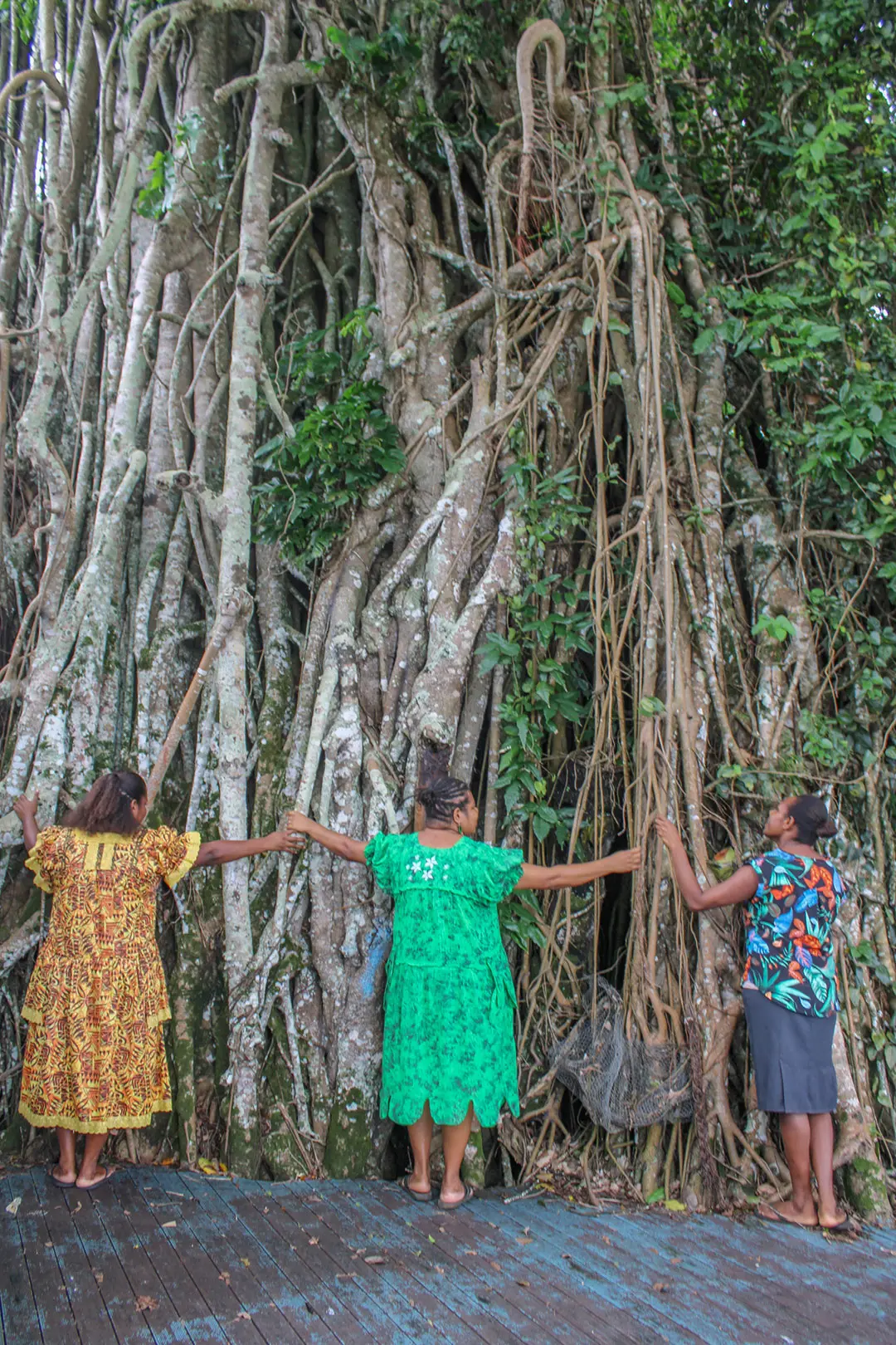 Stephanie Stevens, Vanuatu