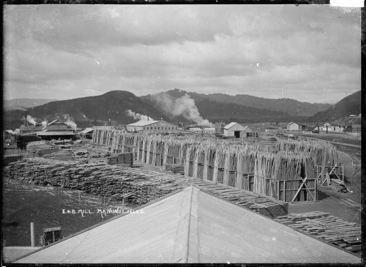 A black and white photo taken from the roof top, showing an overview of the stock yard of a timber mill with various sizes of boards and planks stacked and stored in vertical and horizontal configurations.