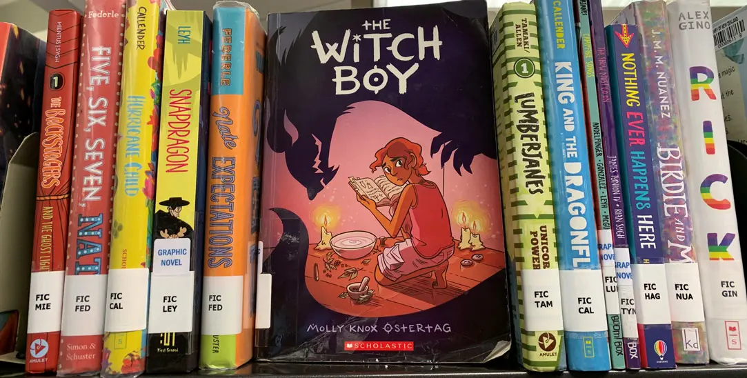 'The Witch Boy' book displayed on a shelf alongside other LGBTQIA+ books for intermediate age readers.