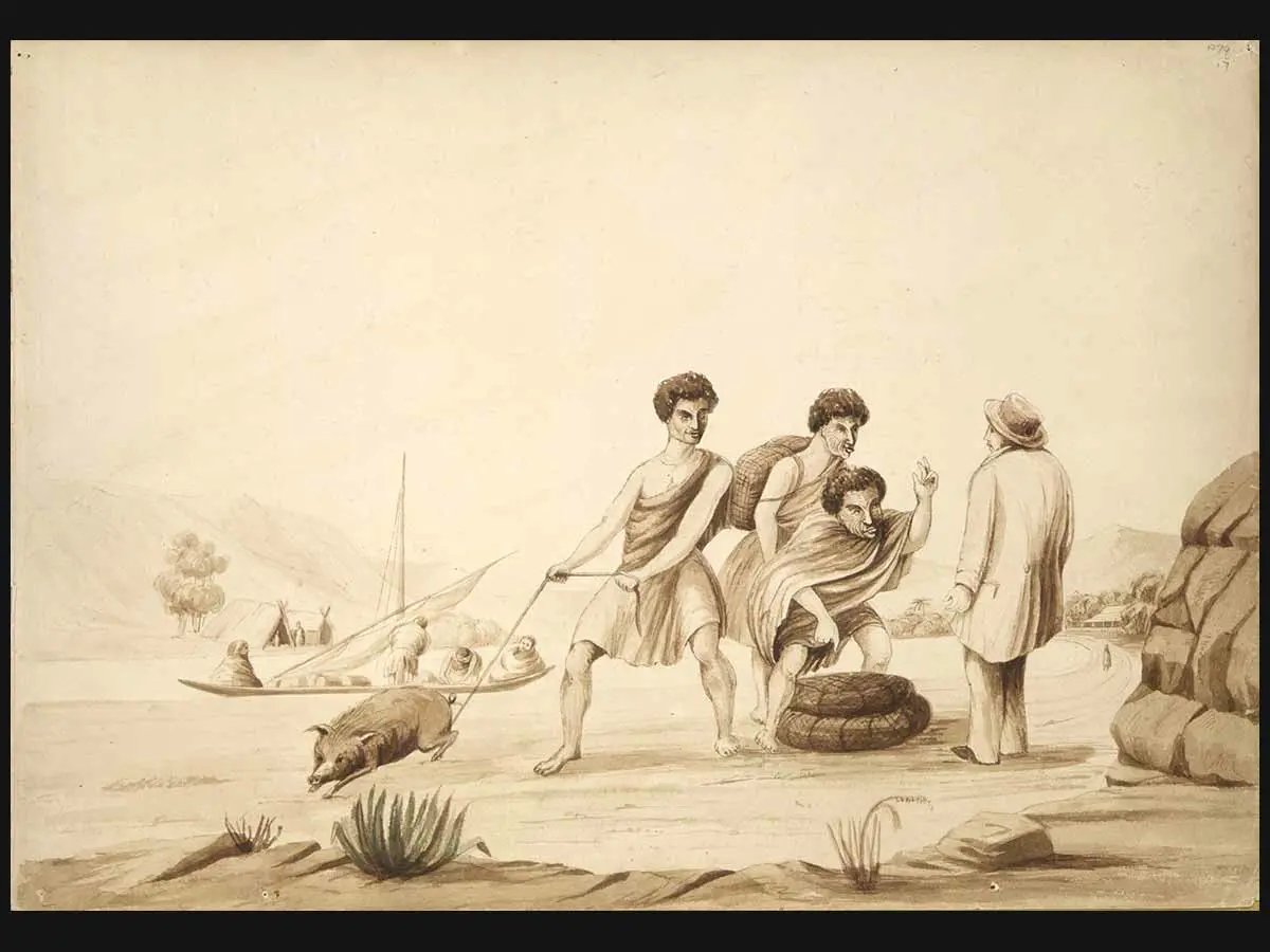 Artwork showing trading taking place between a group of Māori and a Pākehā, One Māori is gesturing with a kete (basket) of potatoes at their feet, another has a kete of potatoes on their back, and the third is holding a rope tied to a pig.
