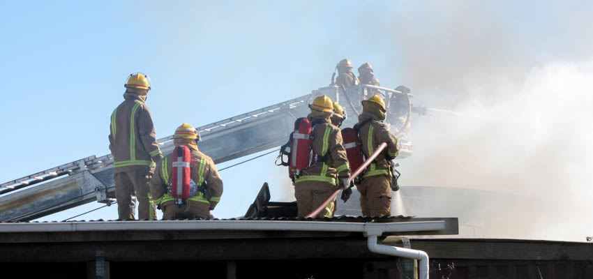 Earthquake, fire, or flood: Impact on school libraries | Services to ...