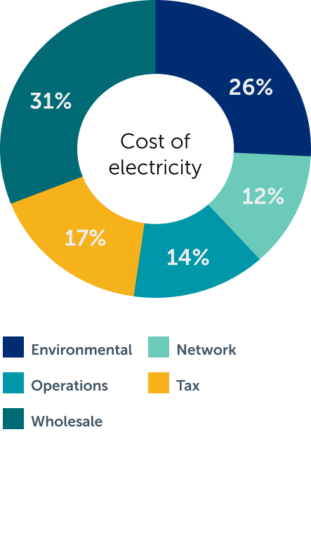 Cost of electricity