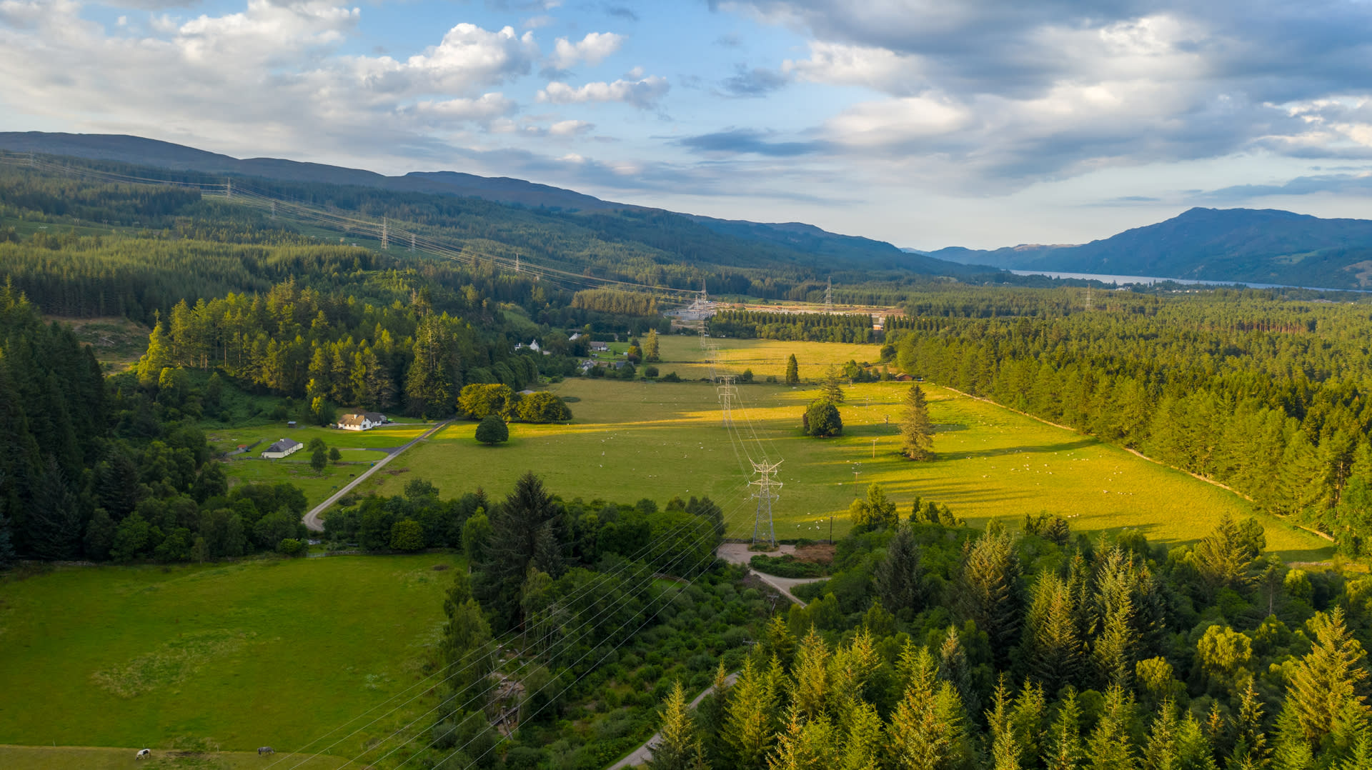 Green fields and wooded area, from a drone perspective
