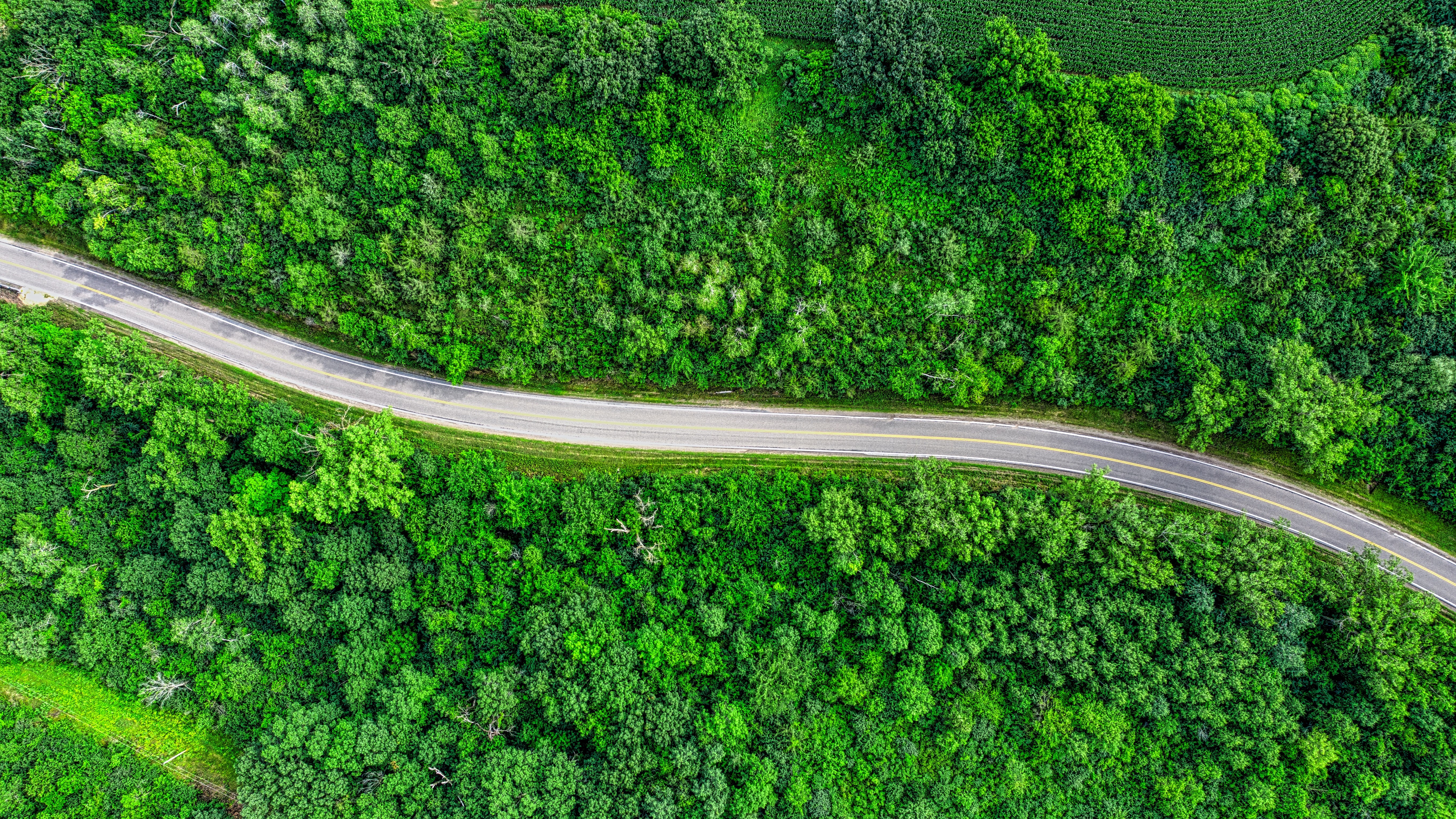 aerial-photography-of-road-between-trees-2861374_Tom-Fisk_WP.jpg