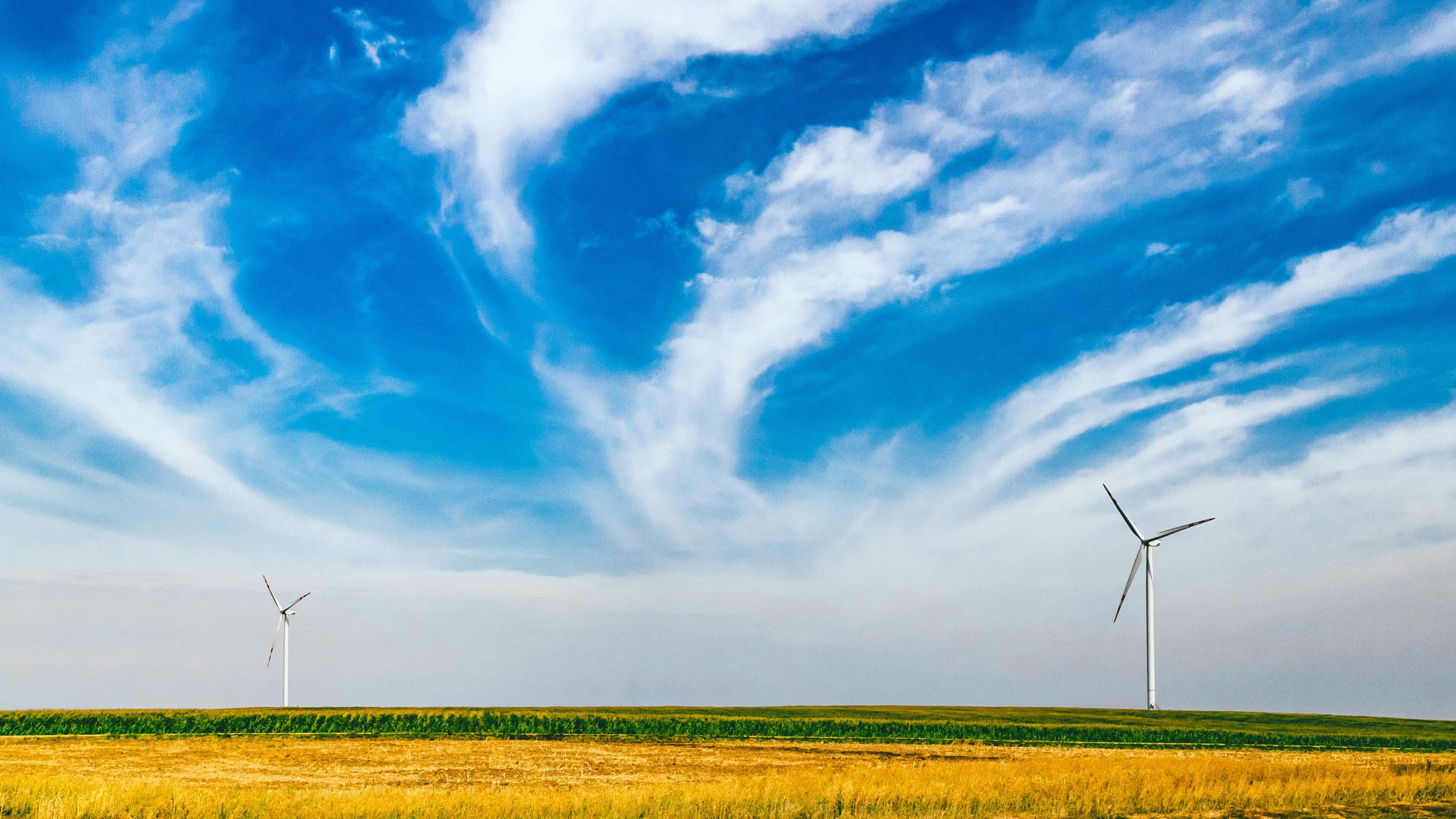 Wine turbines in a field against a cloudy blue sky