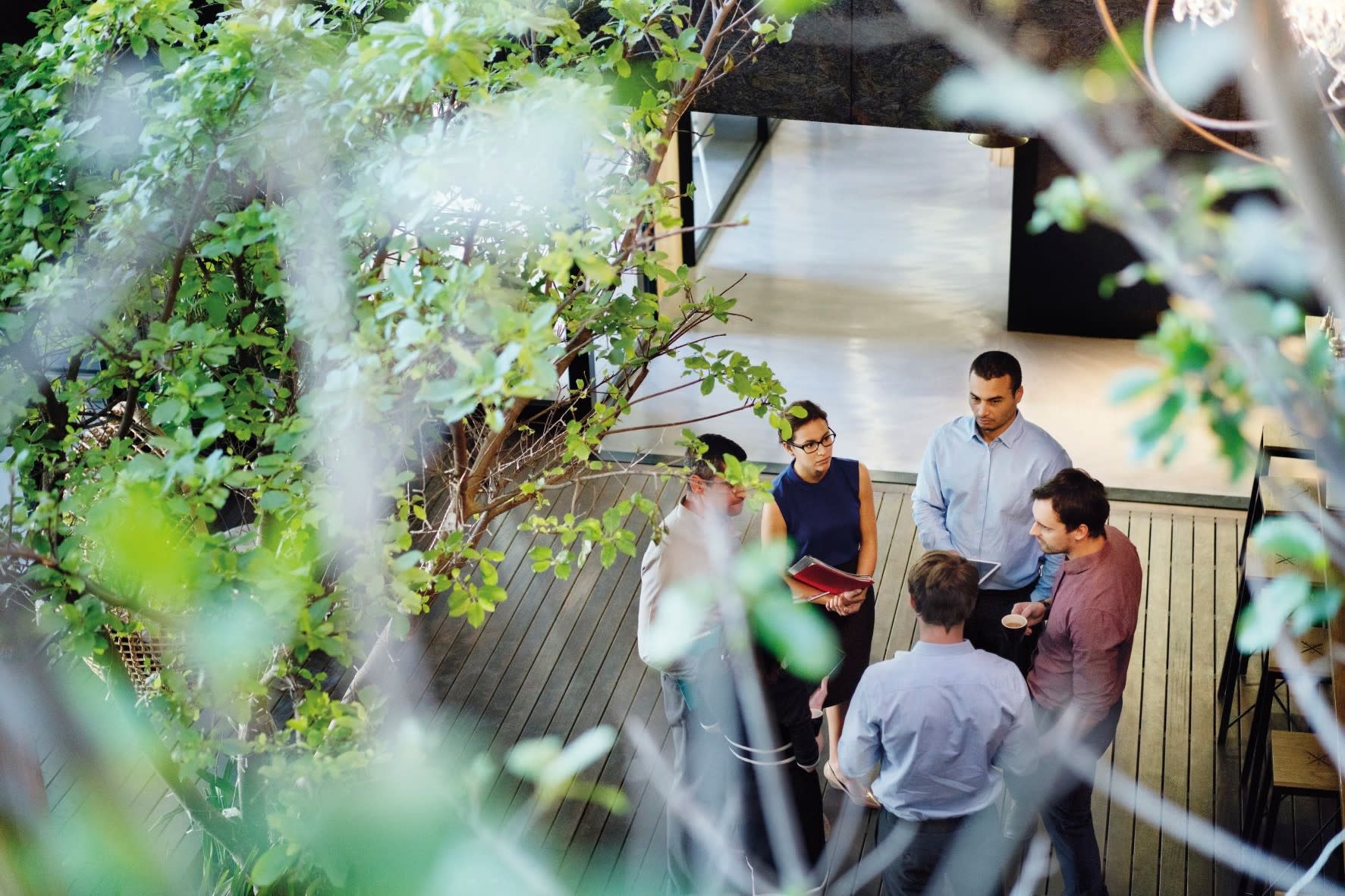 Businesspeople talking under a tree